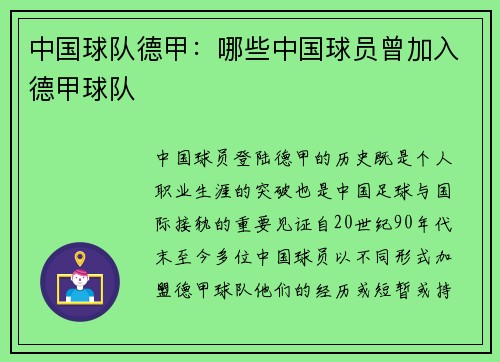 中国球队德甲：哪些中国球员曾加入德甲球队